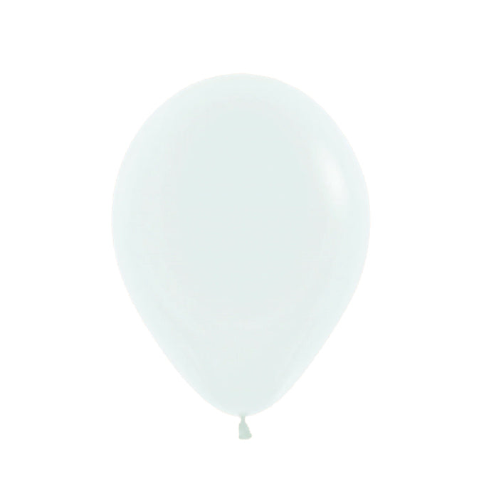 Little Botanic Label Sensorische Ballonbal - Extra Natuurlatex Ballonnen - 6 Stuks