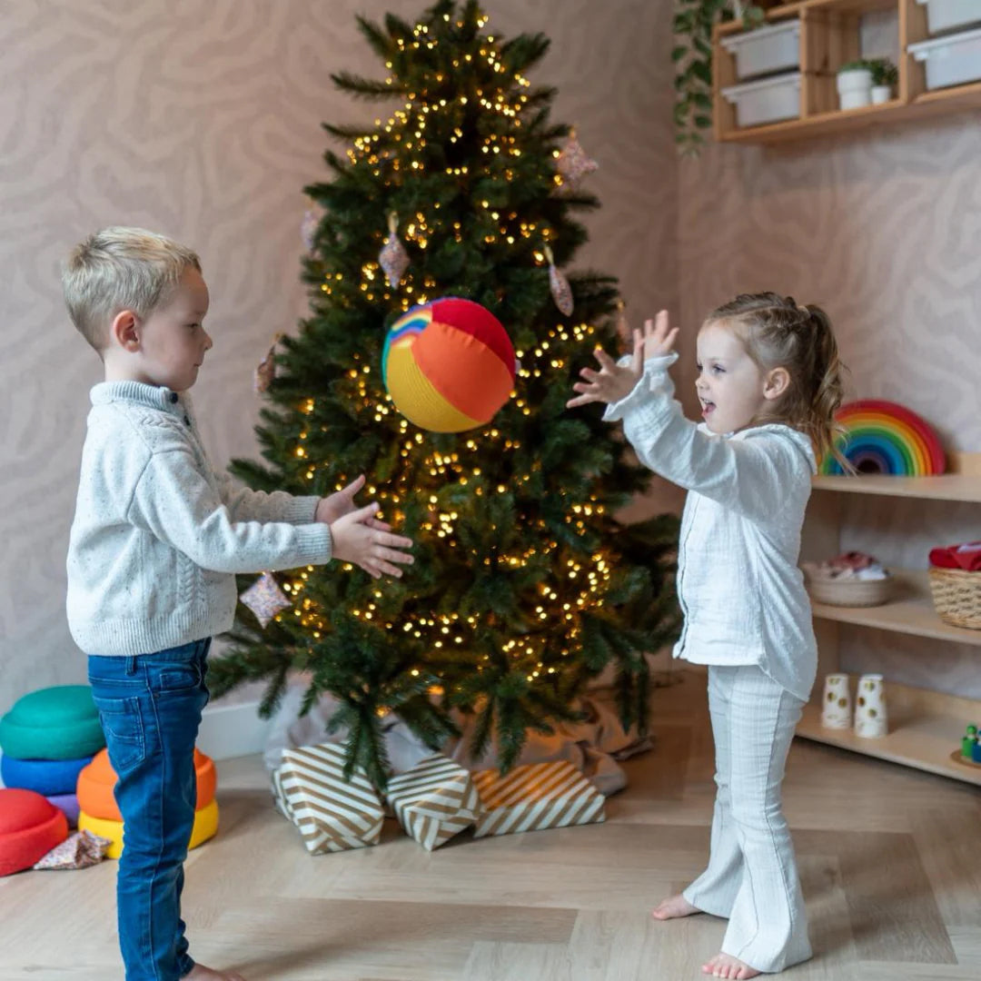 Little Botanic Label Sensorische Ballonbal plus Pittenzakjes set - Regenboog