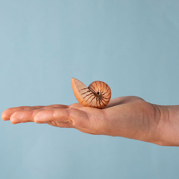 Bumbu Toys Houten Nautilus Schelp