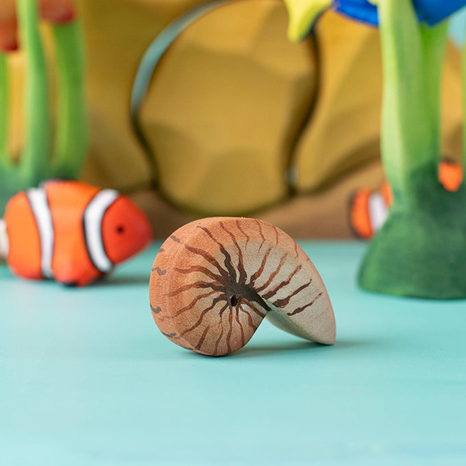 Bumbu Toys Houten Nautilus Schelp