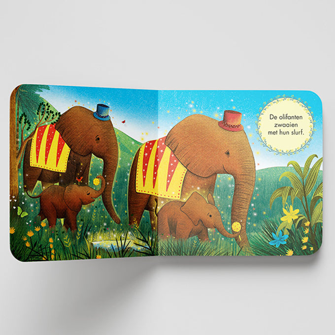 Het Kleine Verhalen Orkest - Carnaval der Dieren - Christofoor, Kartonboek