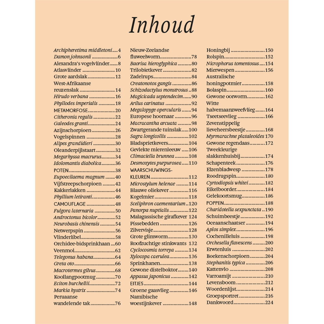 Het dikke boek van alle bijzondere insecten en andere beestjes, Ben Hoare, Lannoo