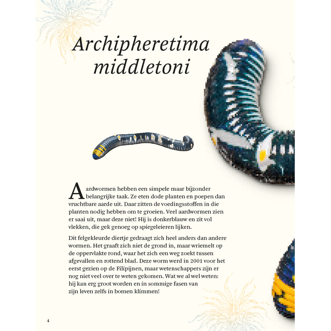 Het dikke boek van alle bijzondere insecten en andere beestjes, Ben Hoare, Lannoo