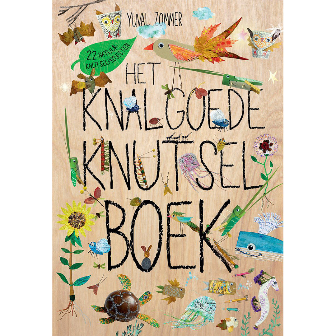 Het Knalgoede Knutselboek - Yuval Zommer - Lemniscaat