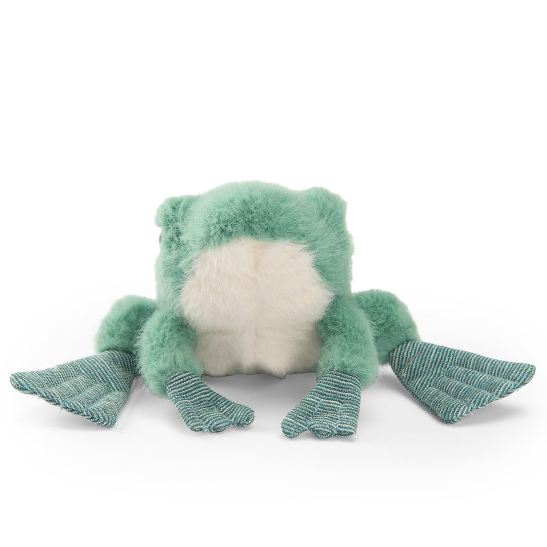 Moulin Roty Knuffel Kikker, 'Tout autour du monde'