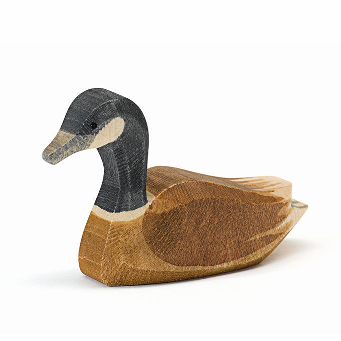 Ostheimer Houten Canadese Gans zwemmend