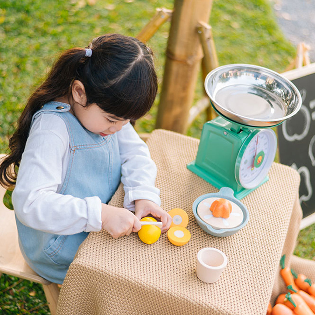 Plan Toys Houten Citruspers met fruit