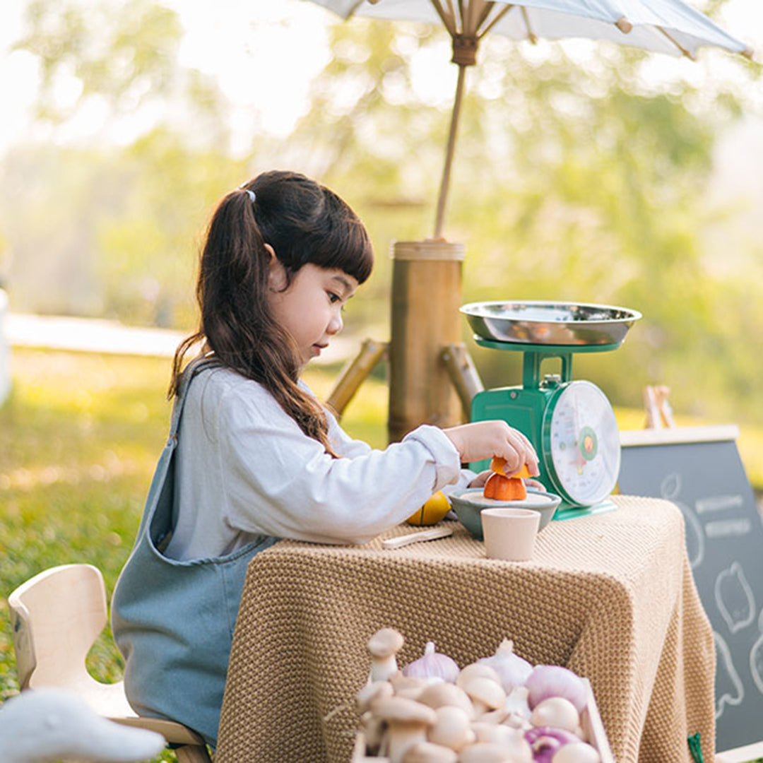 Plan Toys Houten Citruspers met fruit
