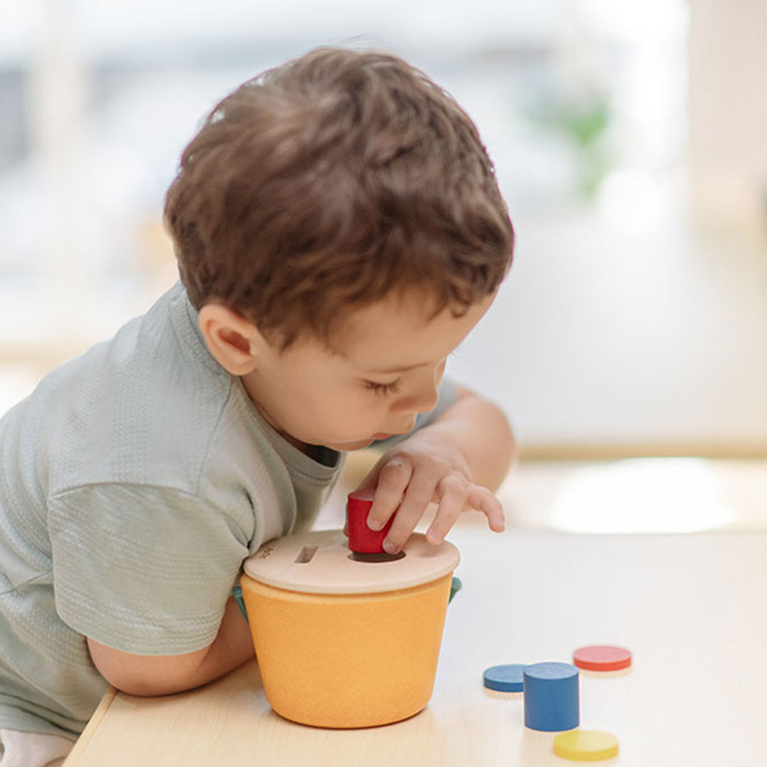PlanToys permanence box
