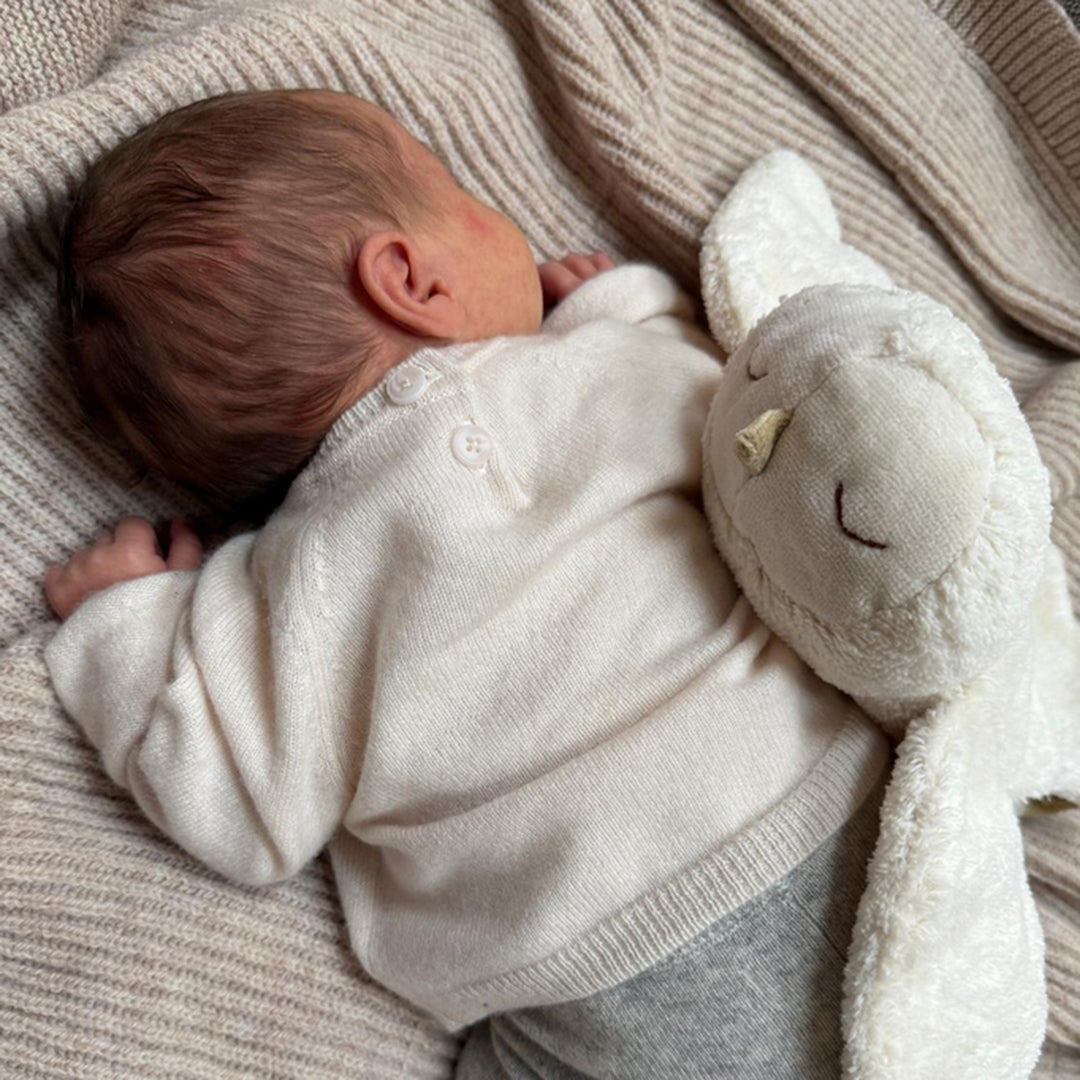 Senger Knuffel met warmtekussen, Sneeuwuil Klein