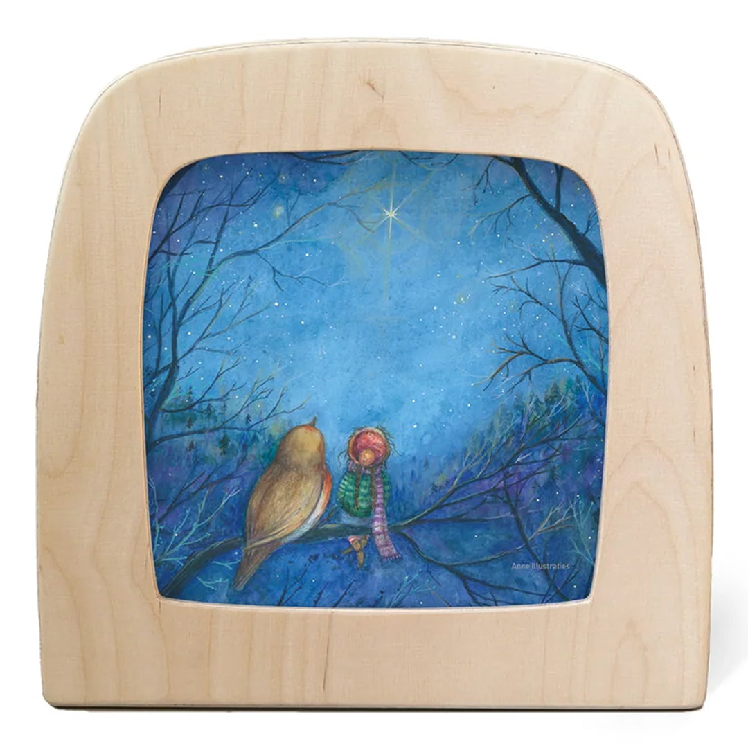 Toverlux Toverplaten - Artist Special set - Anne Illustraties
