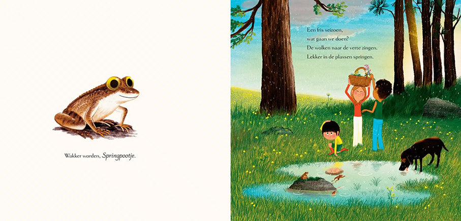 Wakker worden, bos - Boycott