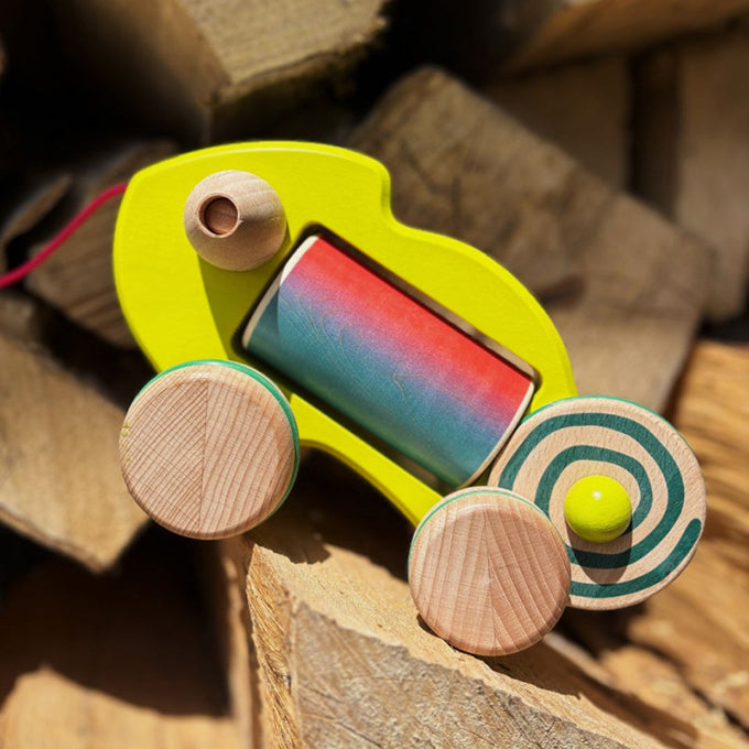 Bajo Houten trekdier, Kameleon