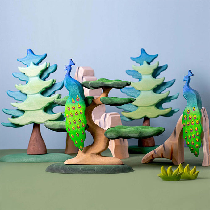 Image 6